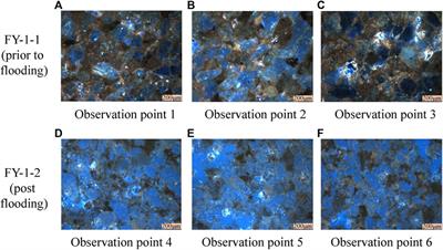 Immiscible CO2 Flooding Efficiency in Low-Permeability Reservoirs: An Experimental Investigation of Residual Oil Distribution